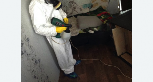 Обработка квартир от насекомых в Кедровом