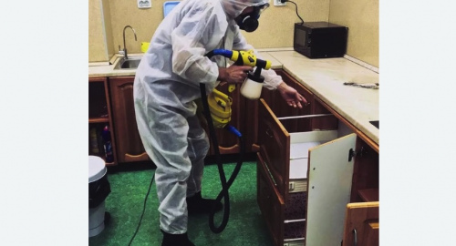 Дезинсекция квартиры. Кедровый