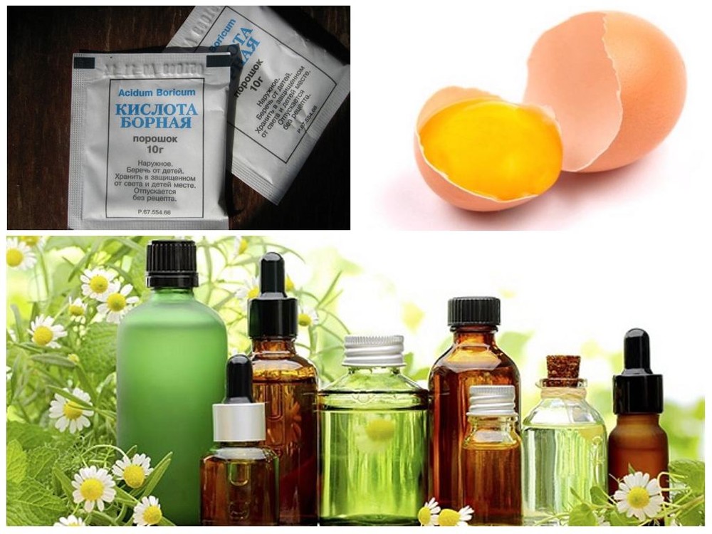 Народные средства против муравьев Народные средства от муравьев