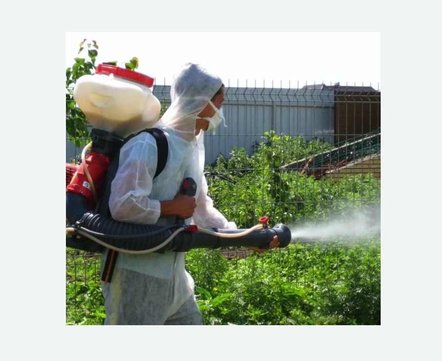 Акарицидная обработка территории в Кедровом