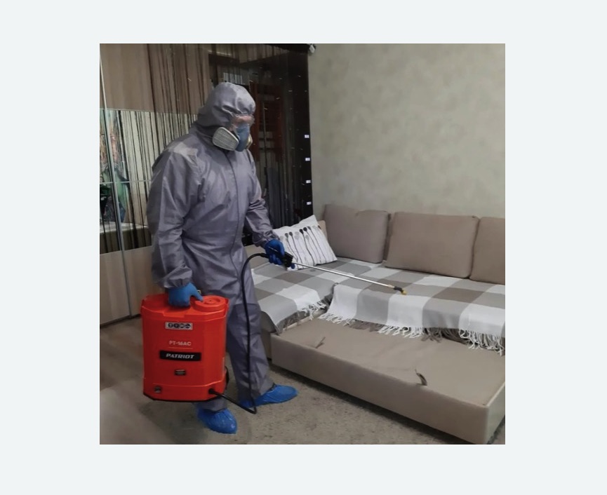 Обработка квартиры от блох в Кедровом Обработка квартиры от блох