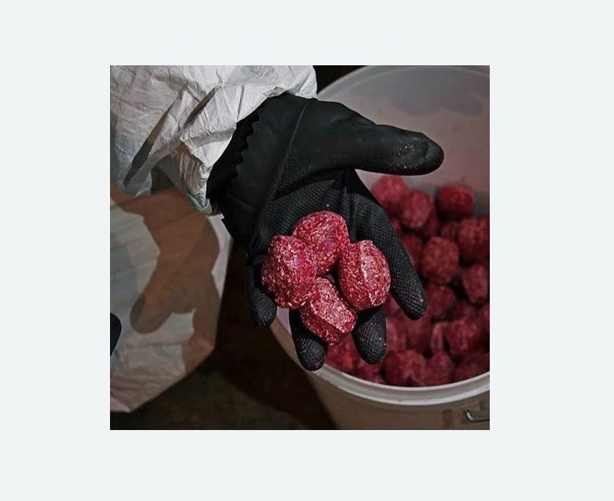 Обработка от крыс в Кедровом