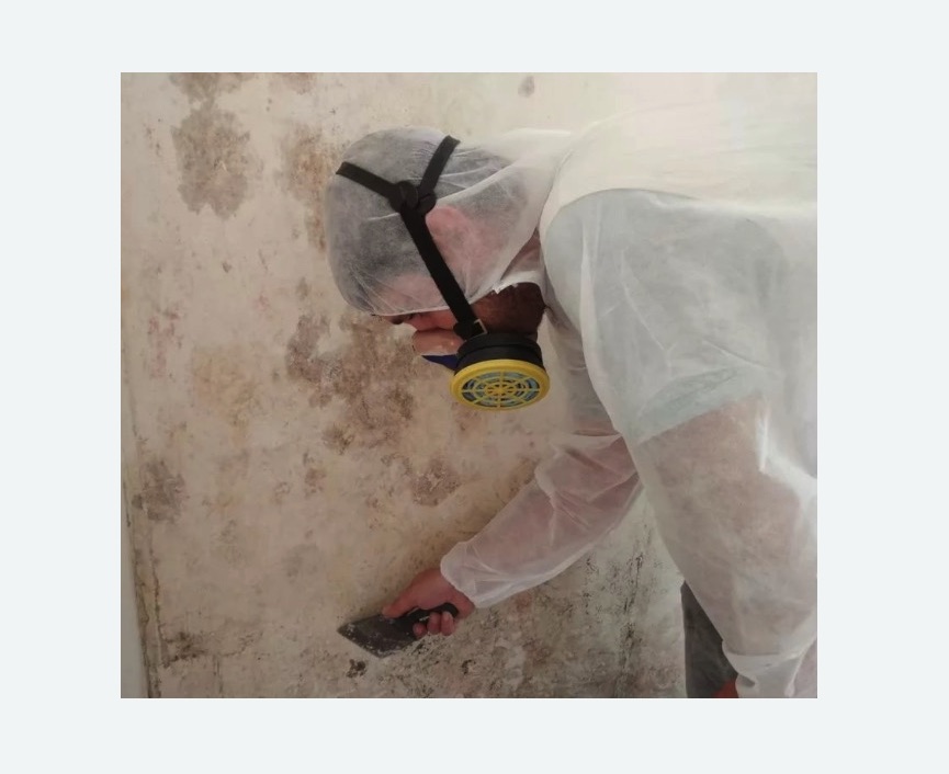 Обработка стен от плесени Обработка стен от плесени в Кедровом