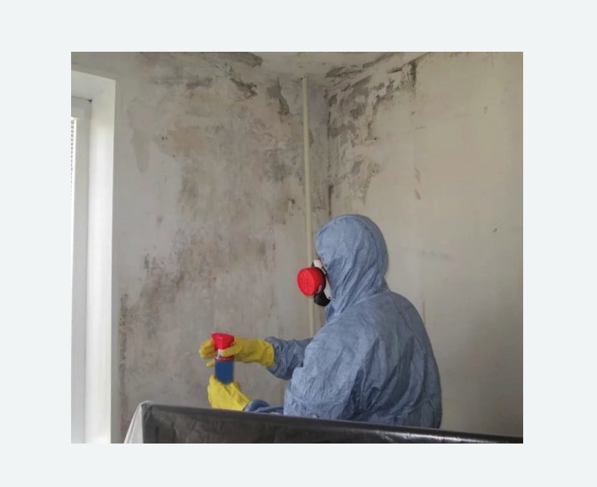 Удаление плесени в квартире Удаление плесени в квартире в Кедровом
