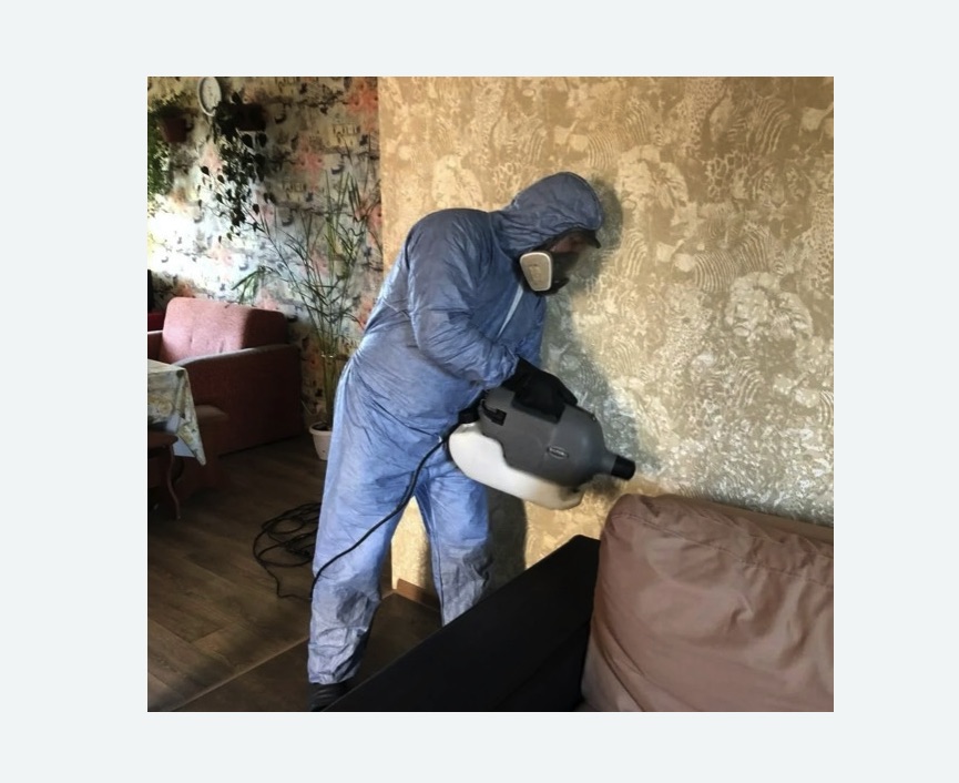 Уничтожение блох в квартире. Кедровый Уничтожение блох в квартире