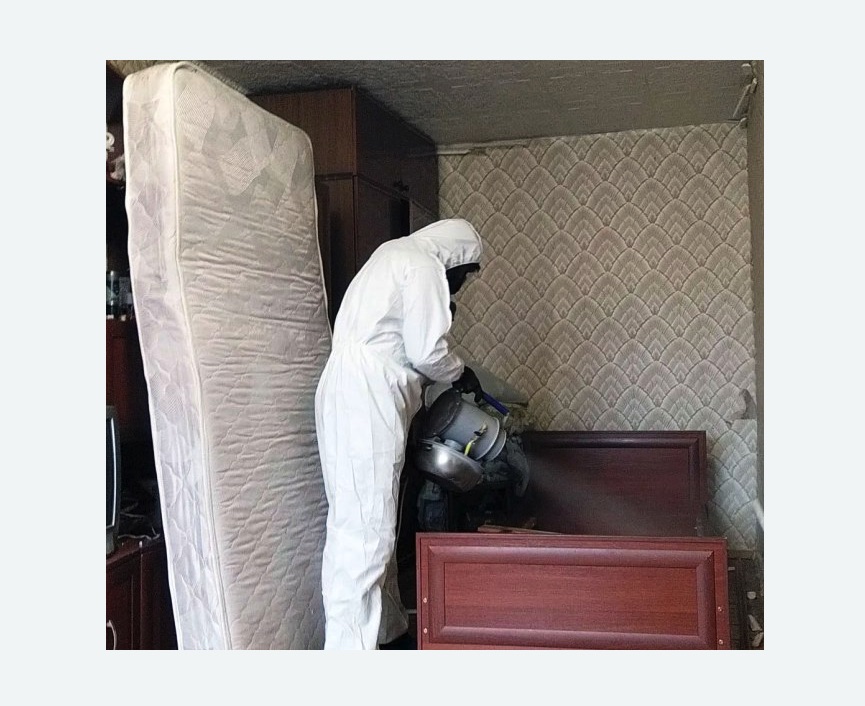 дезинфекция от клопов дезинфекция от клопов в Кедровом