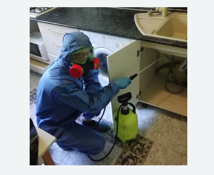 обработка от муравьев в квартире обработка от муравьев в квартире в Кедровом