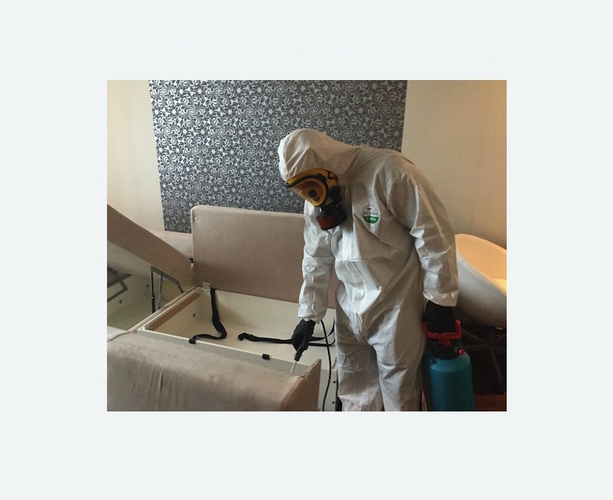 уничтожение клопов в квартире уничтожение клопов в квартире в Кедровом