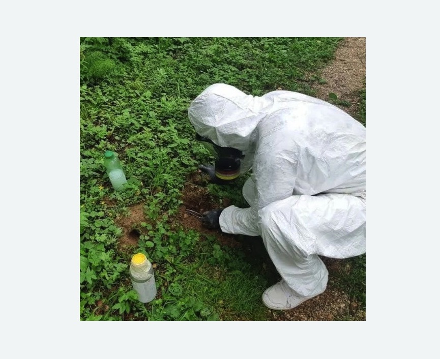 уничтожение кротов на участке уничтожение кротов на участке в Кедровом