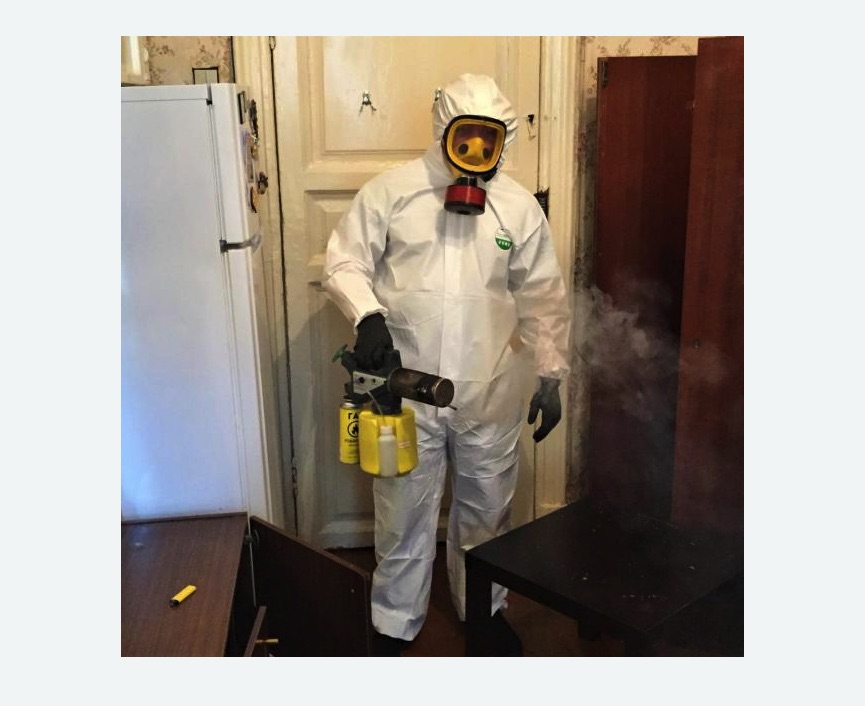 уничтожение муравьев в квартире уничтожение муравьев в квартире в Кедровом